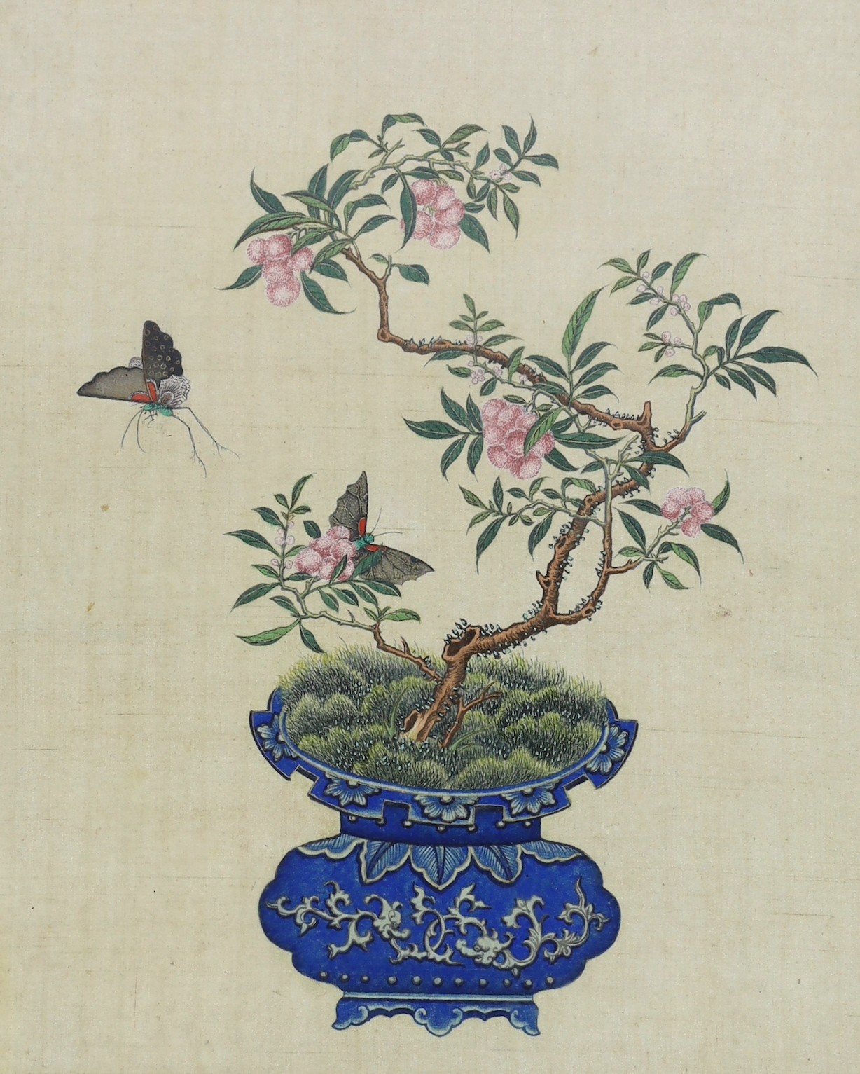 A Chinese painting on silk of a blue glazed jardiniere containing a lychee plant with butterflies, late 19th/early 20th century, image 35cm x 28 cm